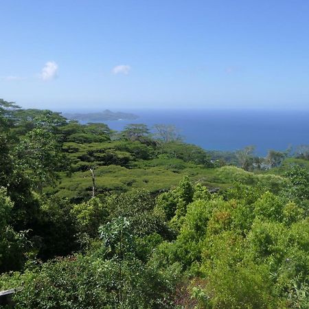 维多利亚Tropical Garden Self Catering别墅 外观 照片