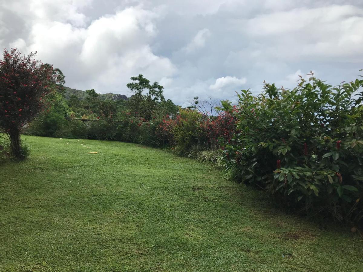 维多利亚Tropical Garden Self Catering别墅 外观 照片