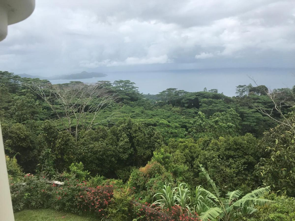 维多利亚Tropical Garden Self Catering别墅 外观 照片