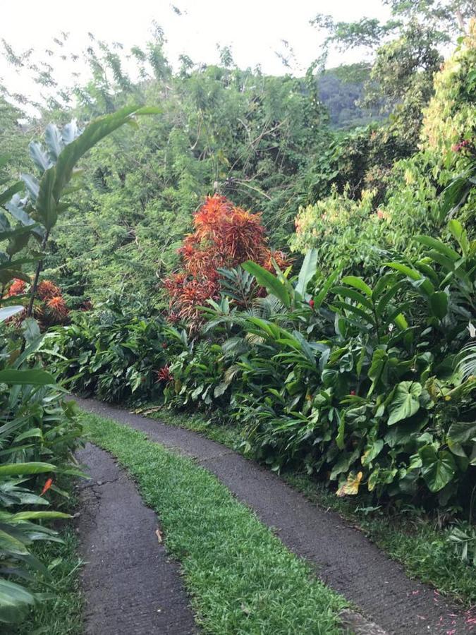 维多利亚Tropical Garden Self Catering别墅 外观 照片