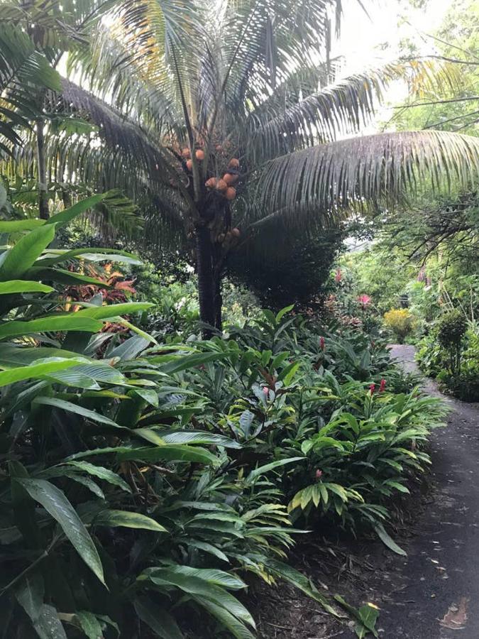 维多利亚Tropical Garden Self Catering别墅 外观 照片
